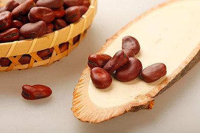 孤身入绝地 荡寇书传奇《平寇志》参加Steam游戏新品节